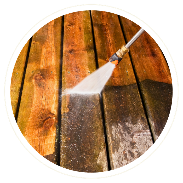 Longwood - Image 4.png