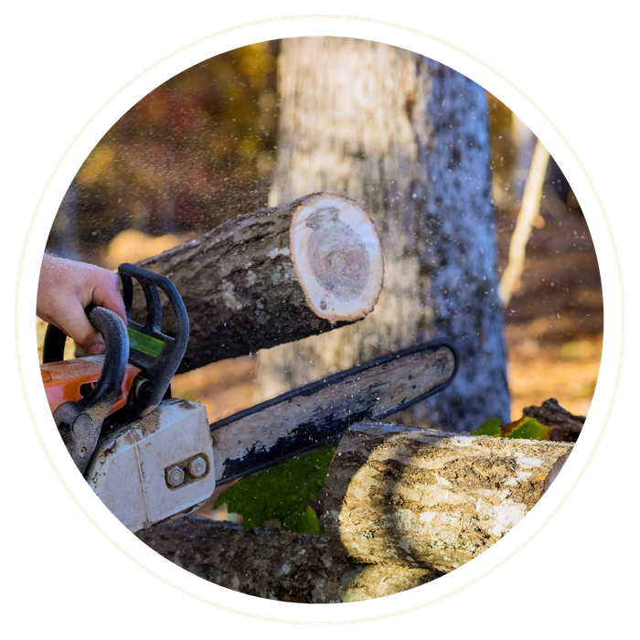 The Villages - Image 2.png