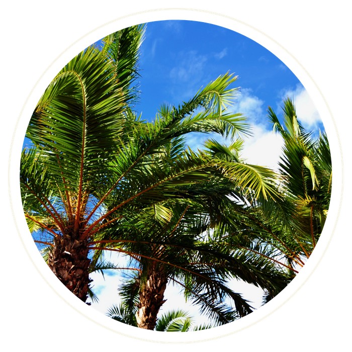 Heathrow - Image 2.png