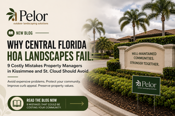 HOA landscaping Central Florida 