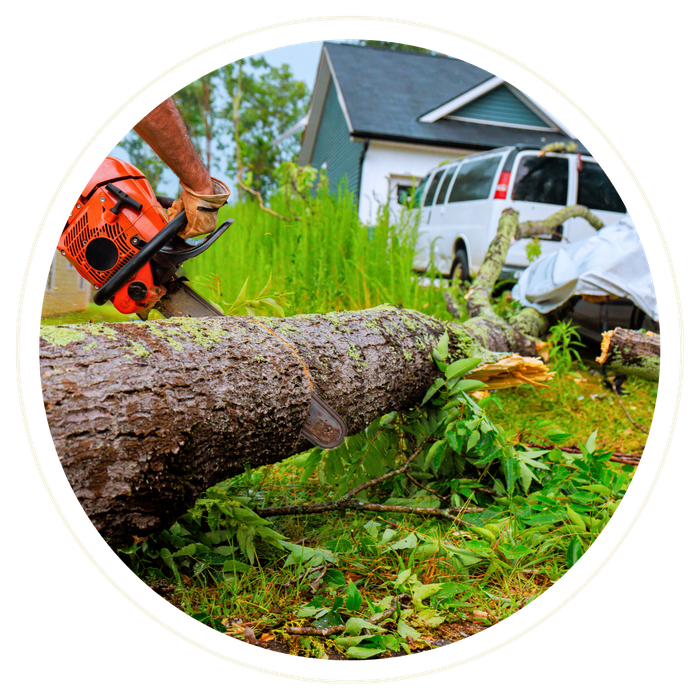 Brevard County - Image 2.png