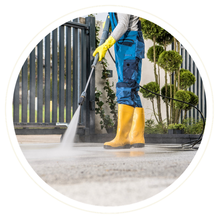 Winter Springs - Image 4.png