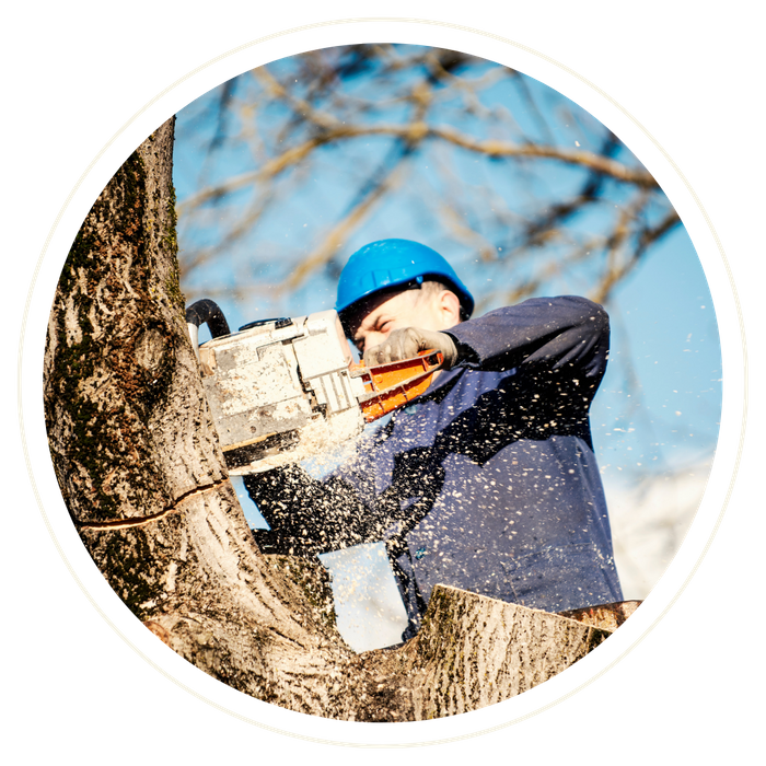 Belle Isle - Image 3.png
