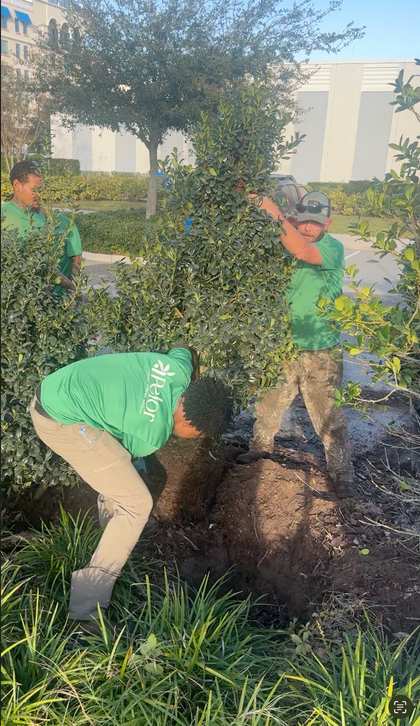 Screenshot 2026-02-19 at 8.46.58%E2%80%AFAM.png