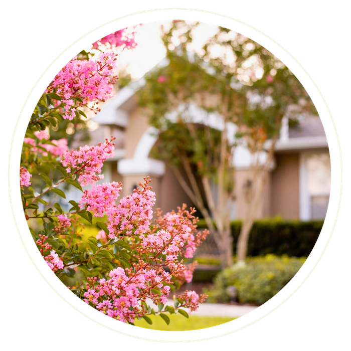 Altamonte Springs - Image 1.png