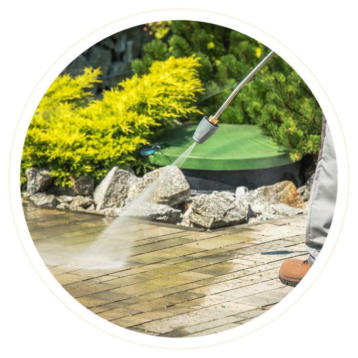 Wekiwa Springs - Image 4.png