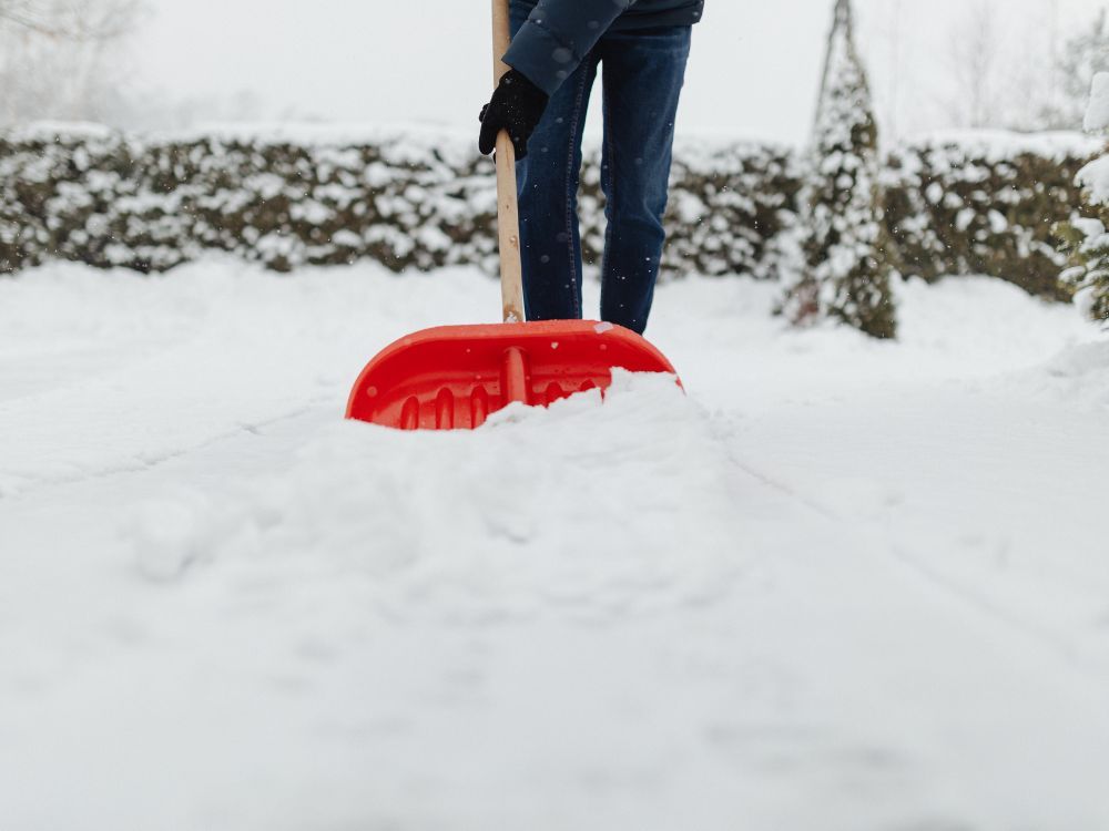 snow 5.jpg