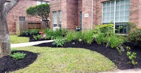 landscaping with mulch