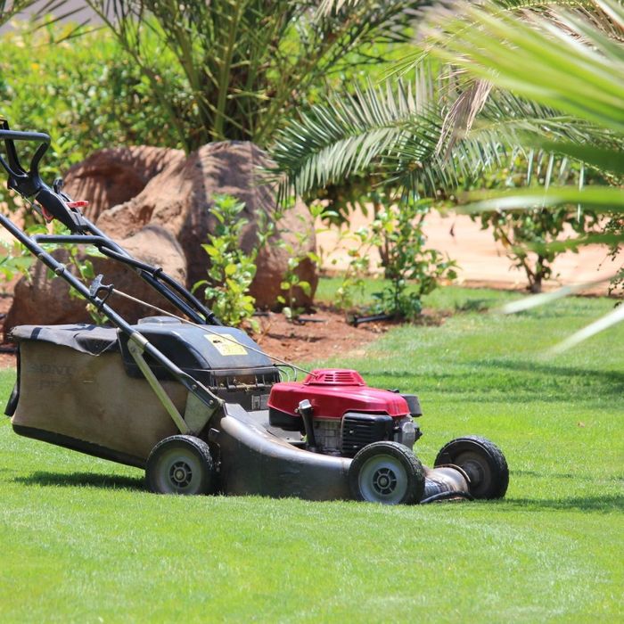 lawn mowing lawn mowing