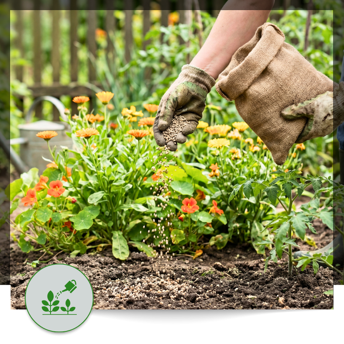 Garden Care Image 1 (1).png