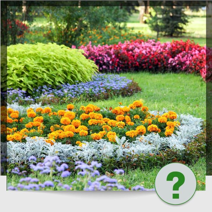FAQs_IMG-1.jpg