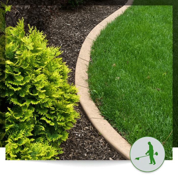 Lawn Care Image 2.png