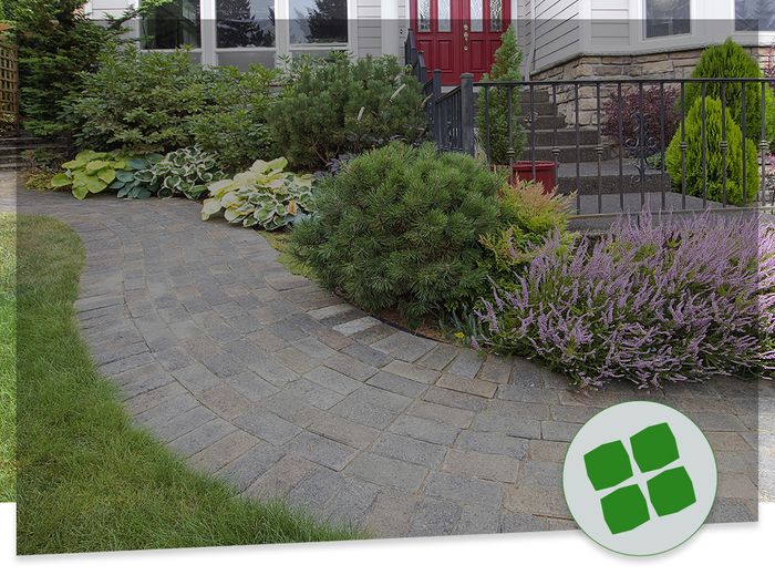 curving stone path around shrubbery