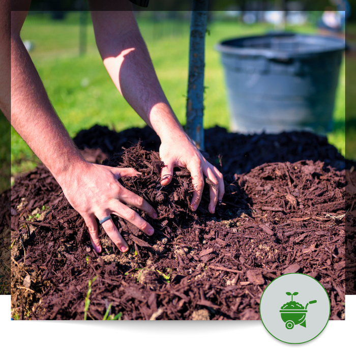 Garden Care Image 2.png