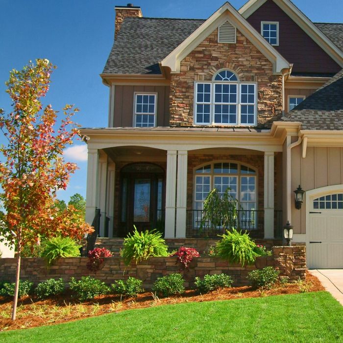 What to Consider for a Landscape Redesign 4.jpg