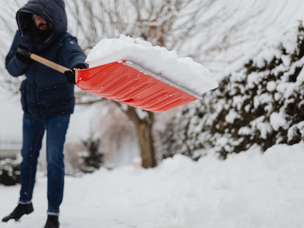 snow 2.jpg