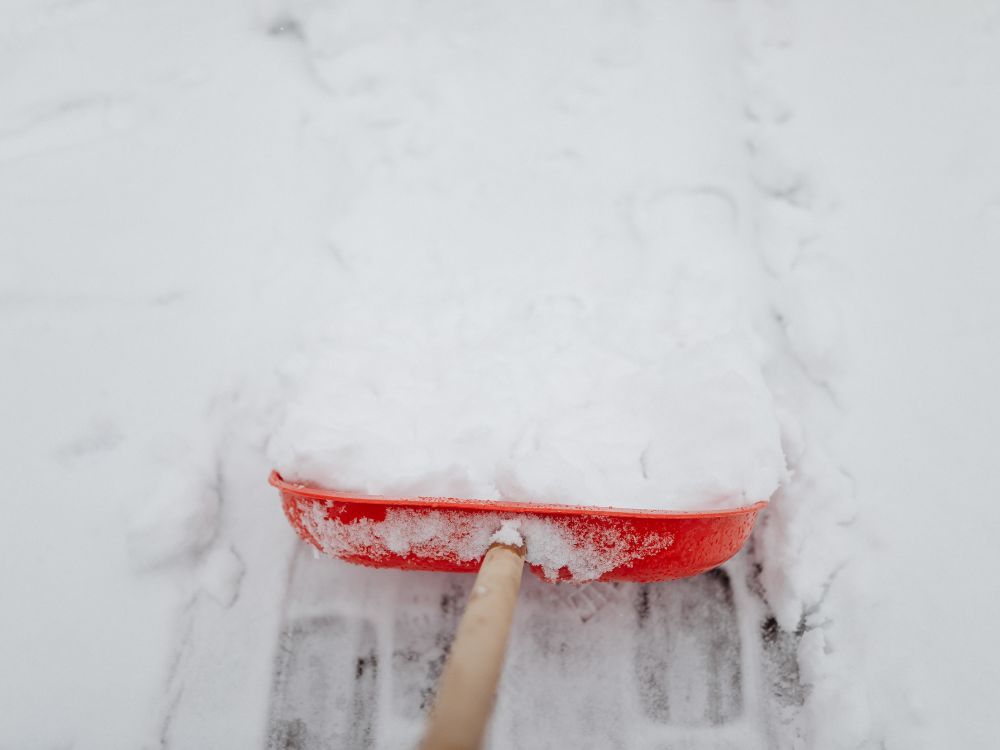 snow 3.jpg