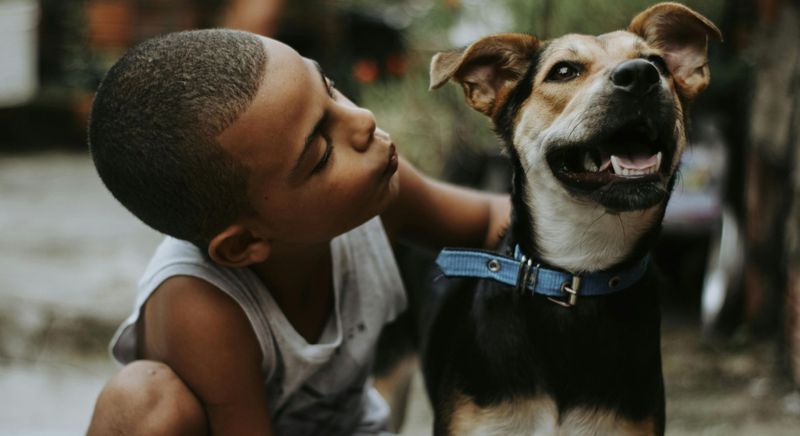 child trying to kiss dog in face 