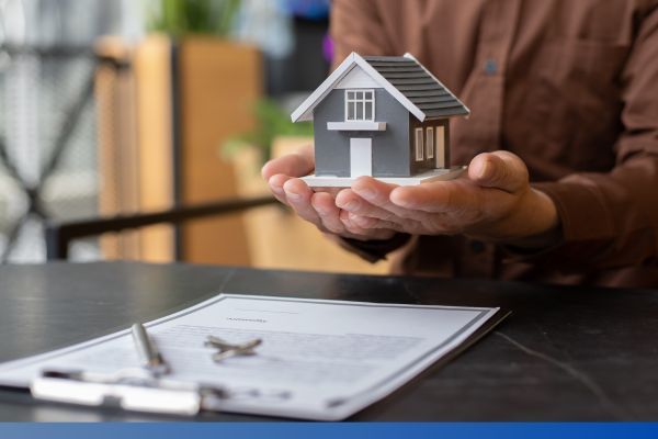 person holding home in hands person holding home in hands