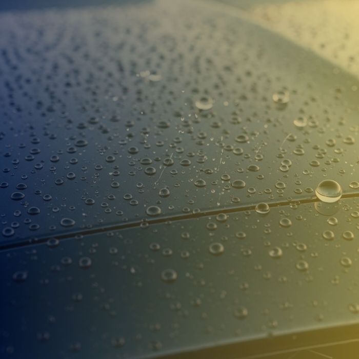 water beading on the surface of a car with a premium ceramic coating