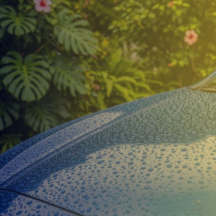 rain beading on a ceramic-coated car hood in Hawaii