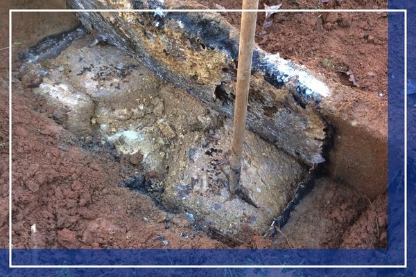 Sewer & drain repair