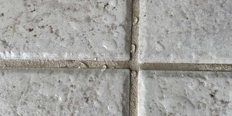 The Hidden Dangers of Dirty Grout Health Risks and More HERO.jpg