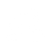 Boulder - Icon 2.png