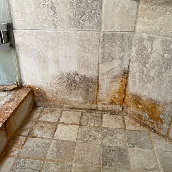 Mold and Mildew Growth.jpg