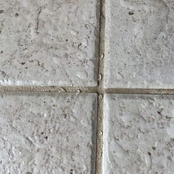 Tile and Grout Sealing.jpg