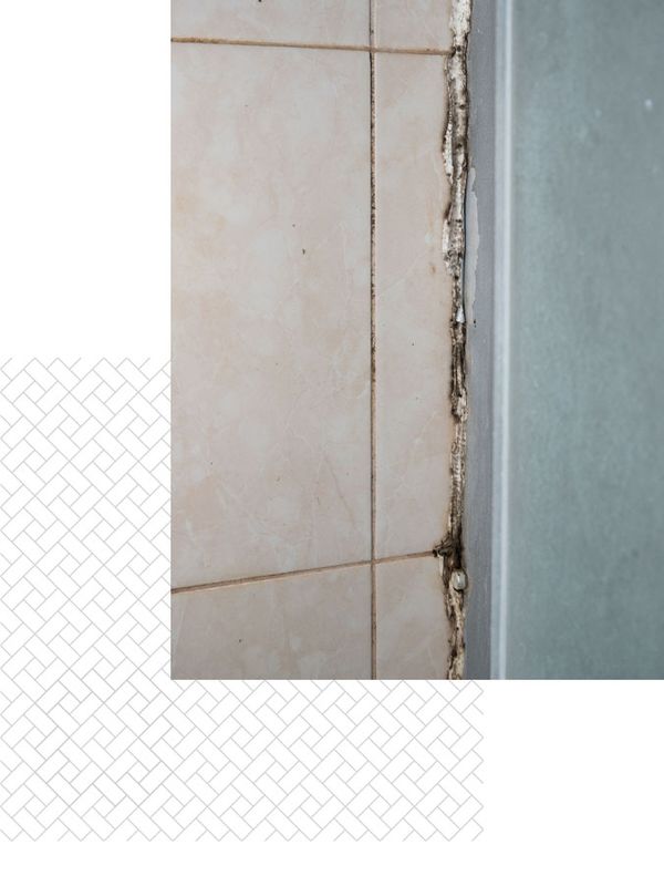 mold and mildew in tile