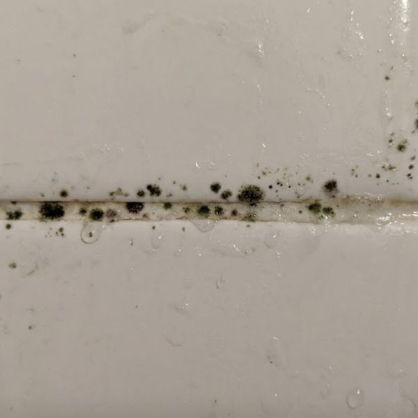 early stage dark mildew growth spotting the grout lines between white bathroom tiles.