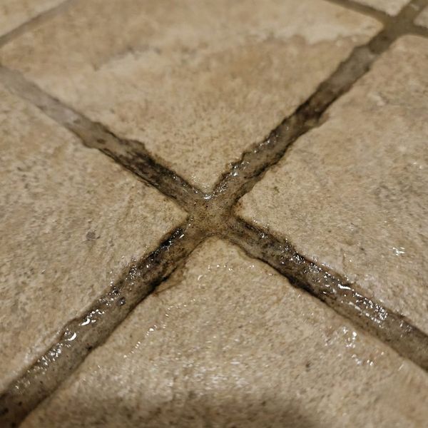 Close-up view of dark, wet, and spongy grout lines on a stone shower floor