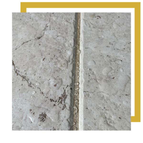 Tile and Grout Cleaning in Loveland2.png