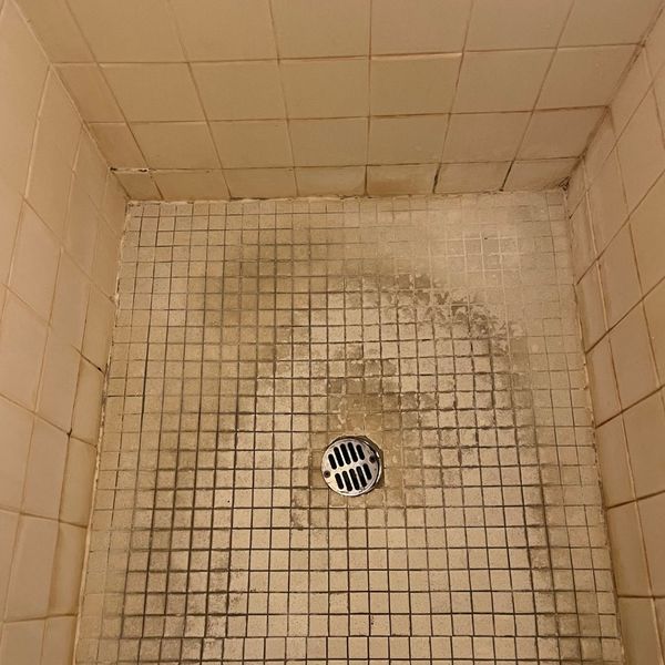 Why Your Bathroom Needs More Than Just Cleaning1.jpg
