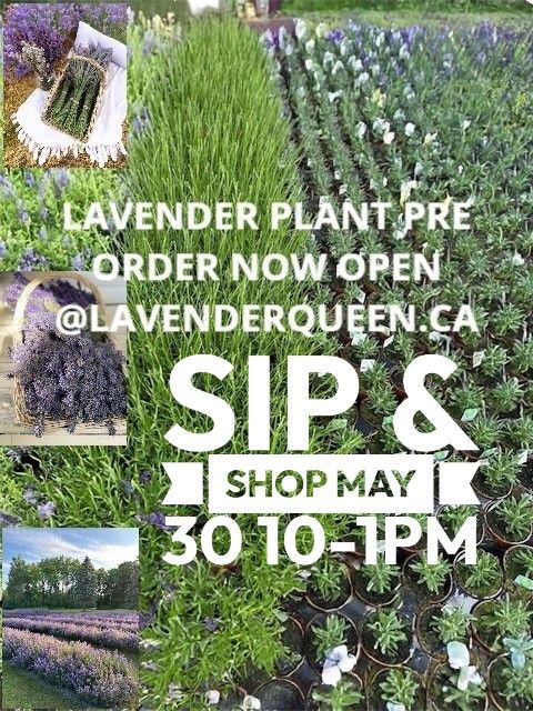 sip and shop.jpeg