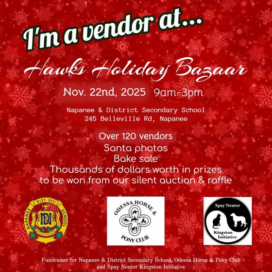 I'm a vendor Hawks Holiday Bazaar 2025.jpg