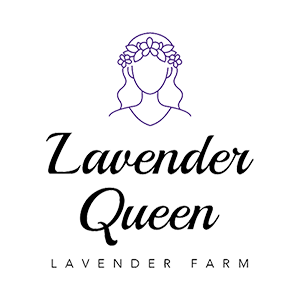 Lavender Queen Lavender Farm