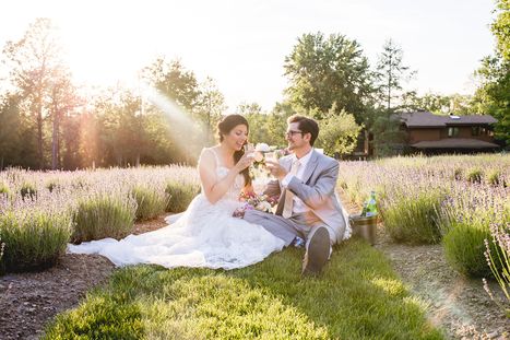 lavender field toast.jpg