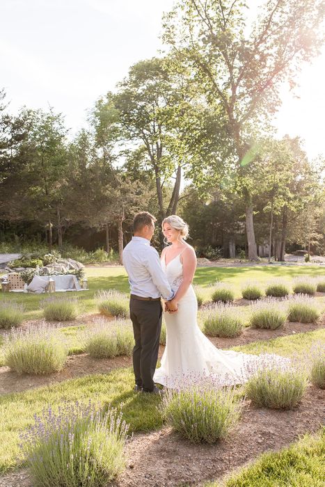 lavender wedding.jpg