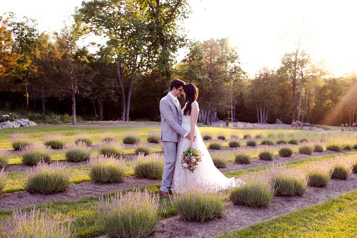 lavender dream wedding.jpg