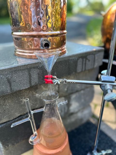 Lavender Distillation August