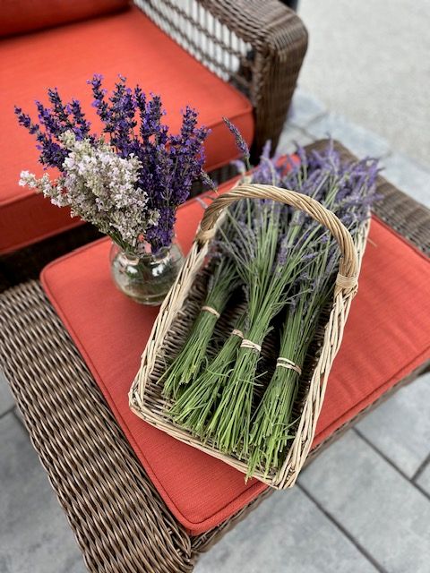 Lavender Harvest