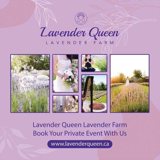 1766644_Bann-CA1081825_1_1_qty_Straight_Pillow_Case_Backdrop_-_Graphic_8_Ft_x_8_Ft__FT__PMS_Single_Sided_Hire_a_Designer_POLYESTER_FABRIC__SS__OP_1.jpg