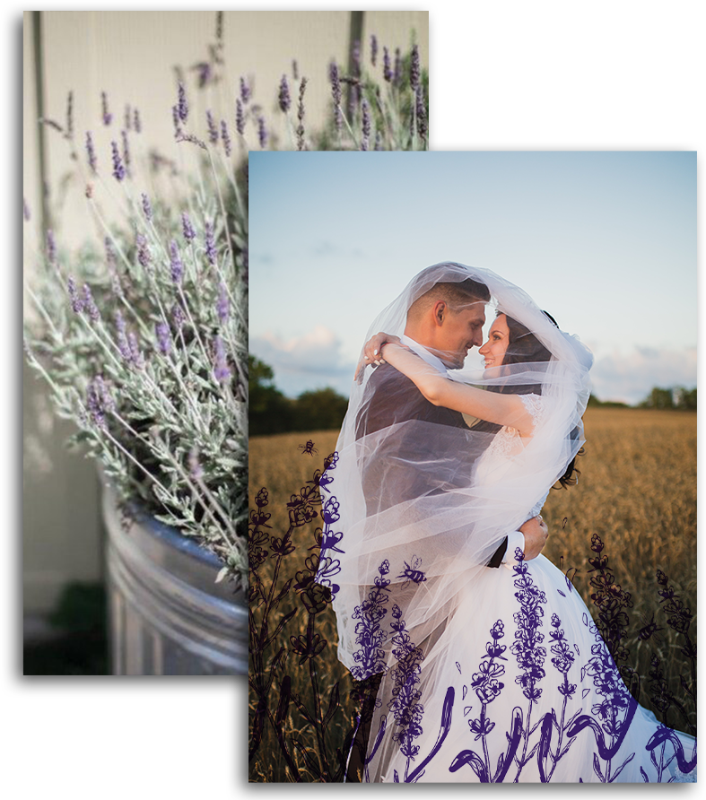 Couple in field after wedding vows