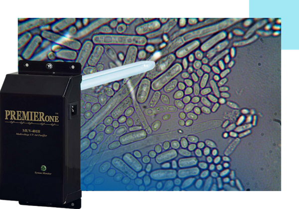microbes, PremierOne system