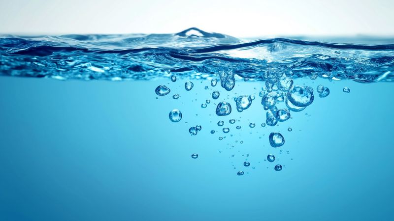 Tankless vs. Traditional Water Heaters_ What%E2%80%99s Best for South Carolina Homes_ 1.jpg