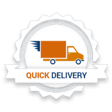Quick Delivery Icon.png