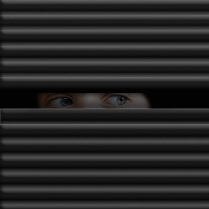 eyes looking through blinds