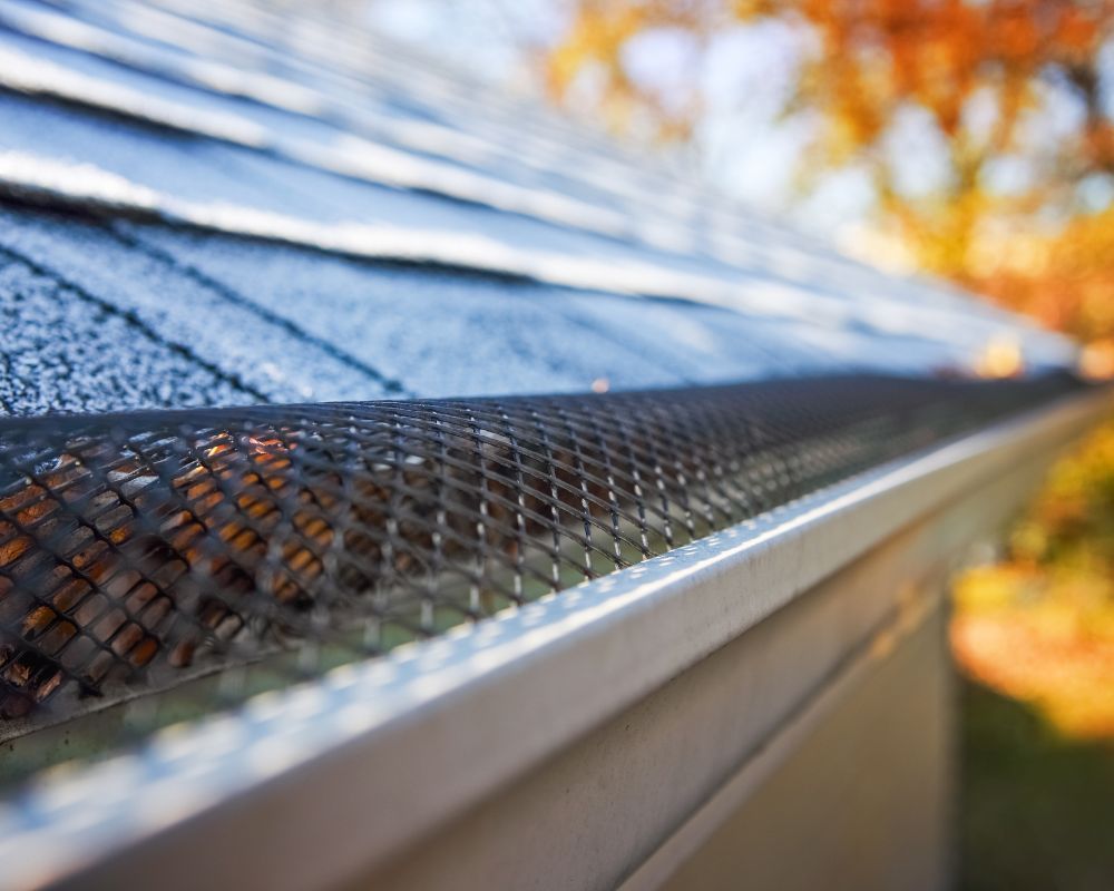 gutter guard on roof in fall